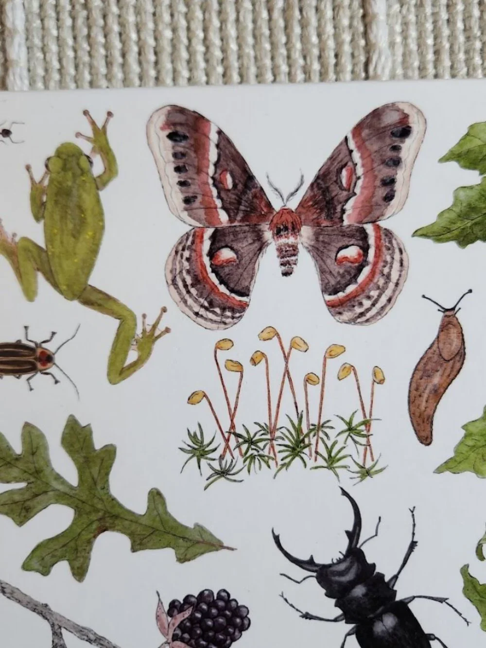NEW Nature Journal for Kids Activity Book Notebook Hardcover Book Birdwatching B